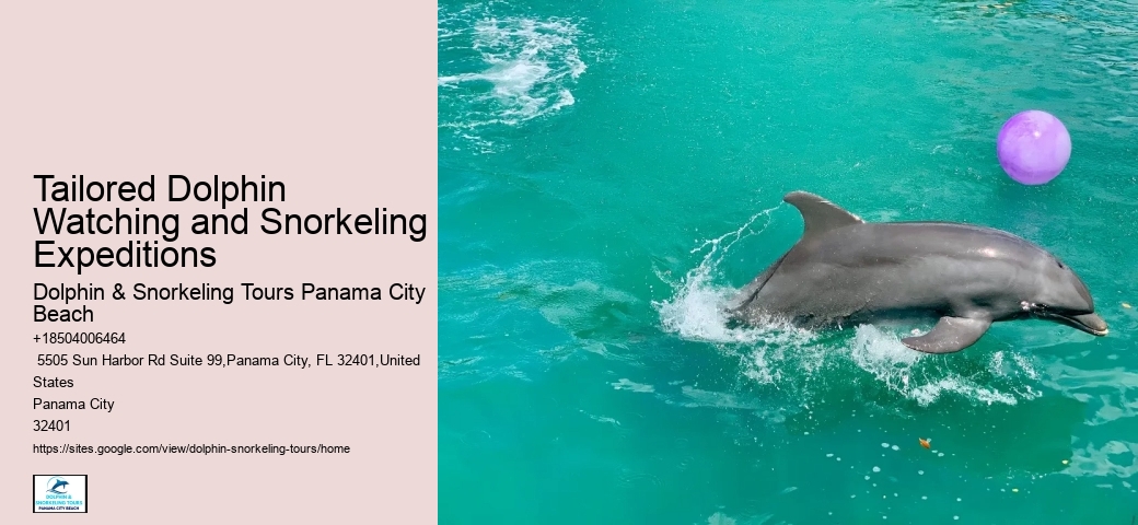 2 Hours Private Dolphin And Snorkeling Tours Florida