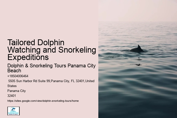 Panama City Beach Dolphin Tours & More