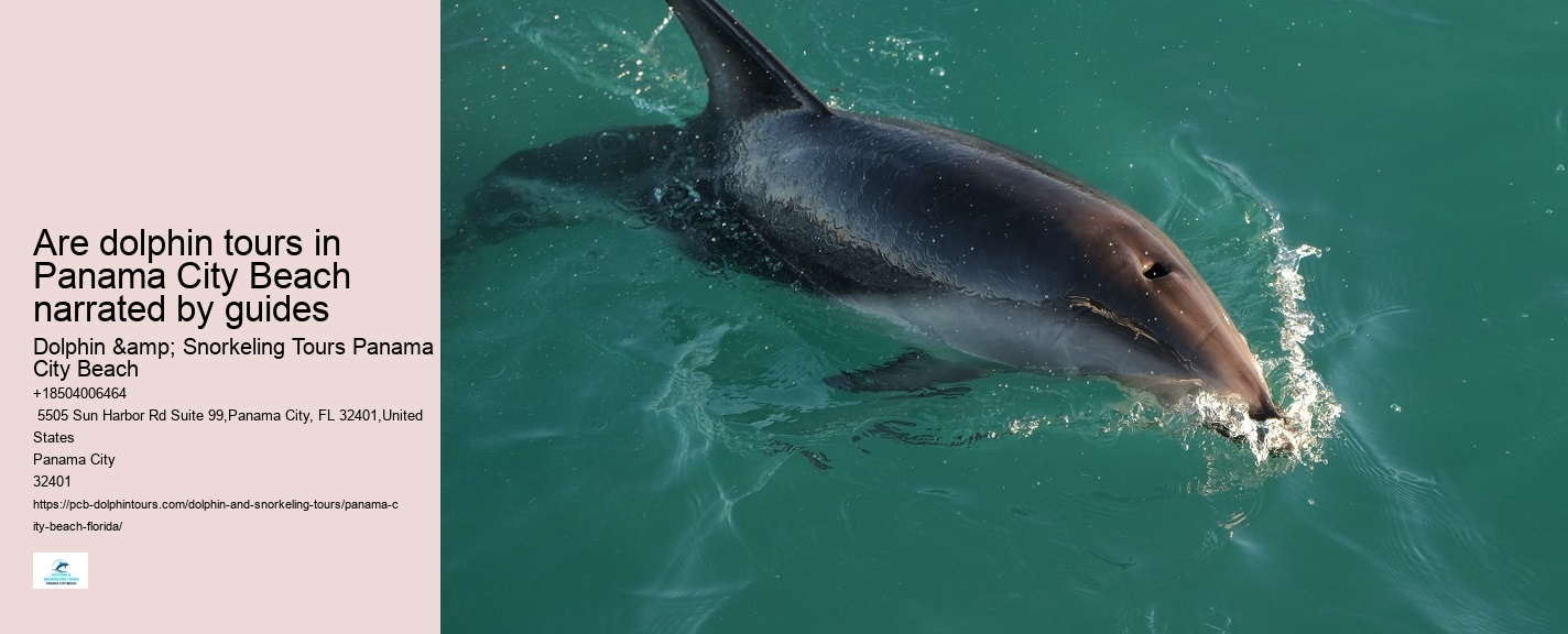 Are Panama City Beach dolphin tours suitable for non-swimmers