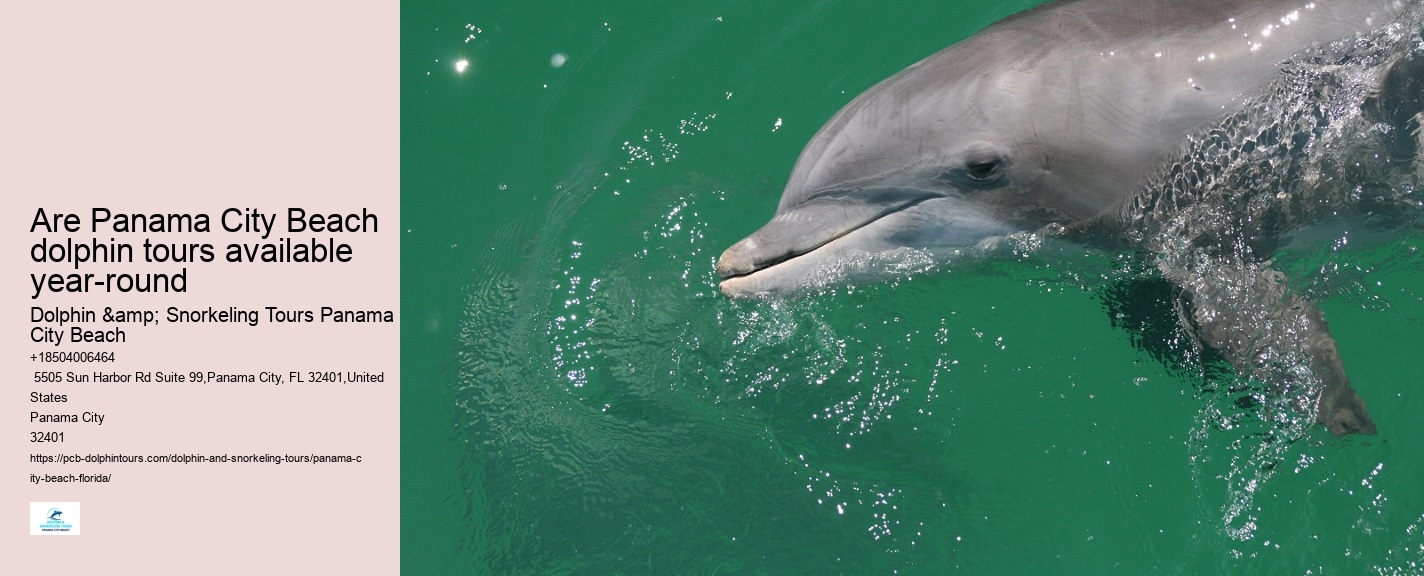 Private Dolphin Tours Panama City Beach