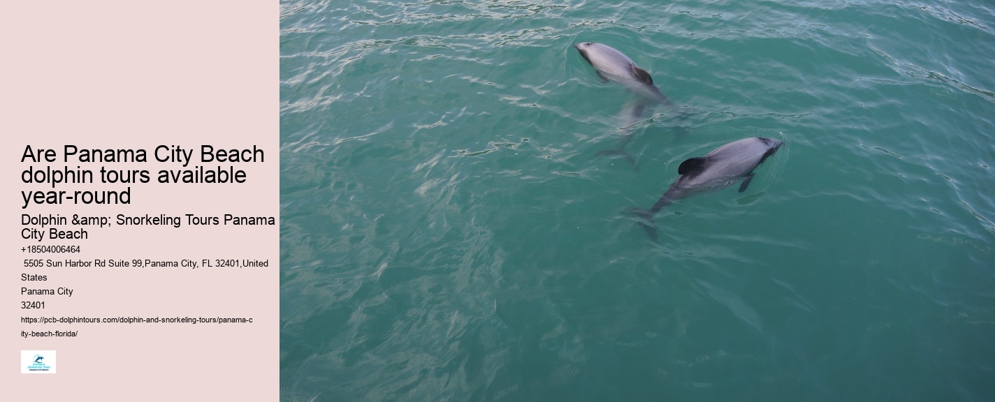 Dolphin sightseeing adventures in Panama City Beach