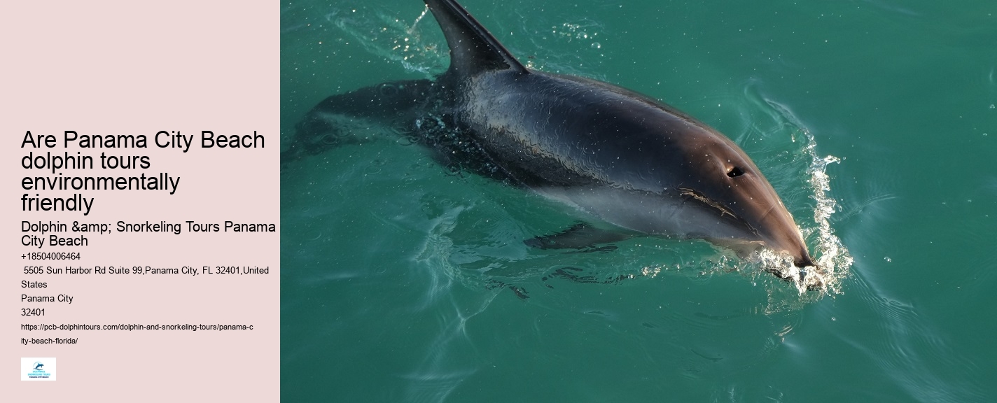 Dolphin trips in Panama City Beach