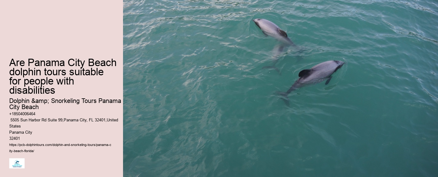 Dolphin watching excursions at Panama City Beach