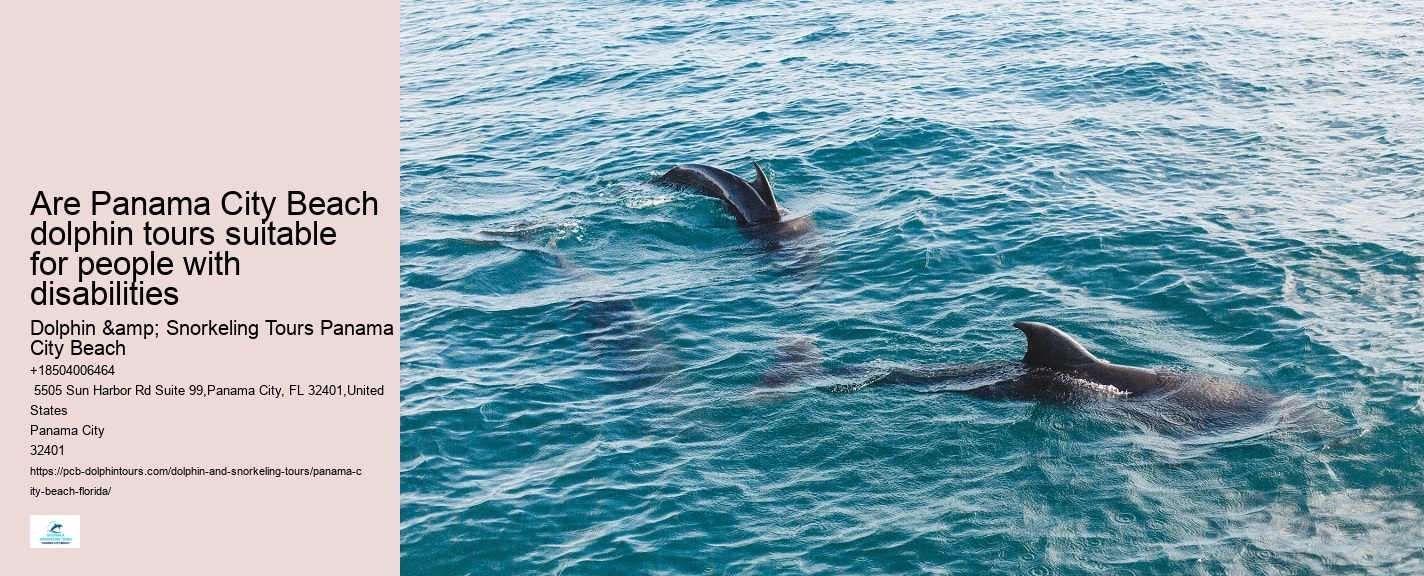 PCB Dolphin Spotting Cruises