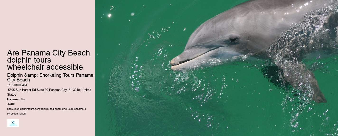 PCB Dolphin Exploration Voyages