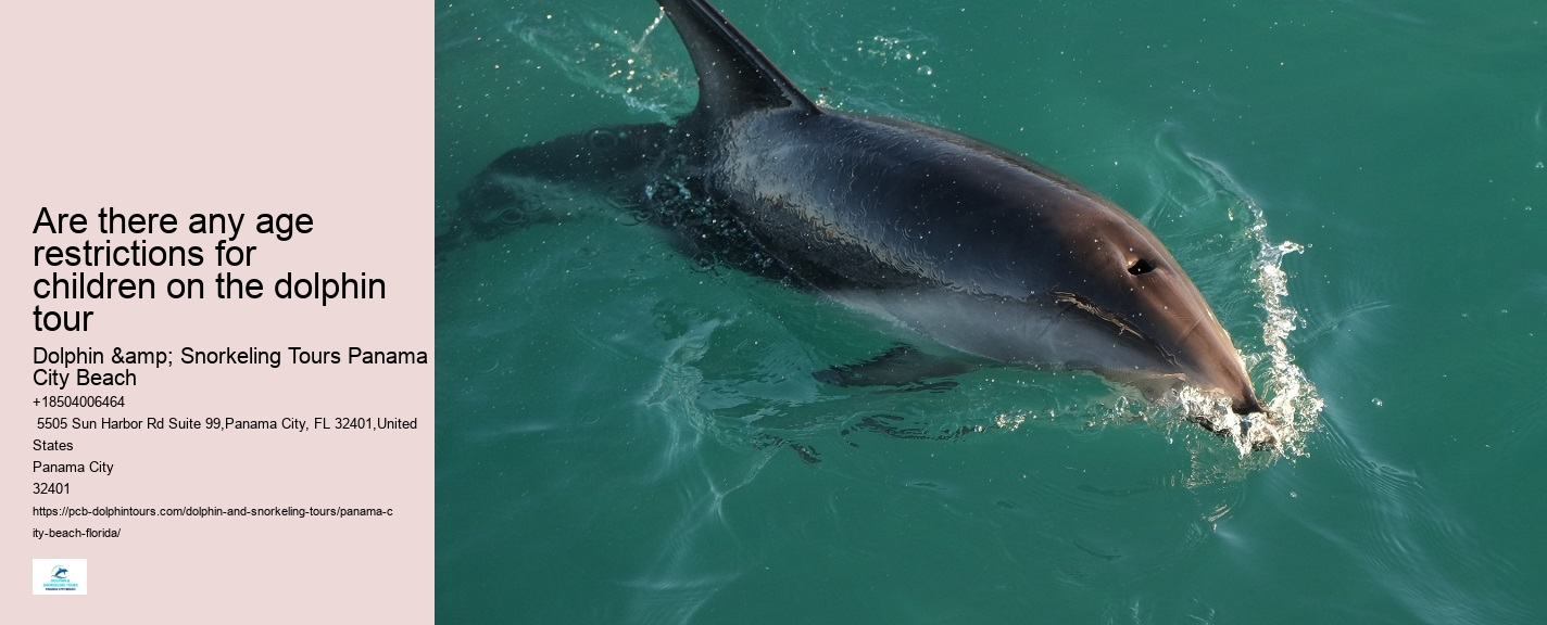 Panama City Beach Private Dolphin Tours