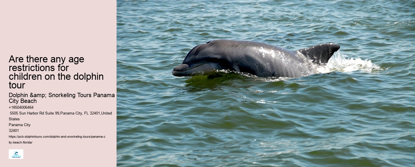 Dolphin Sightseeing Cruises in PCB