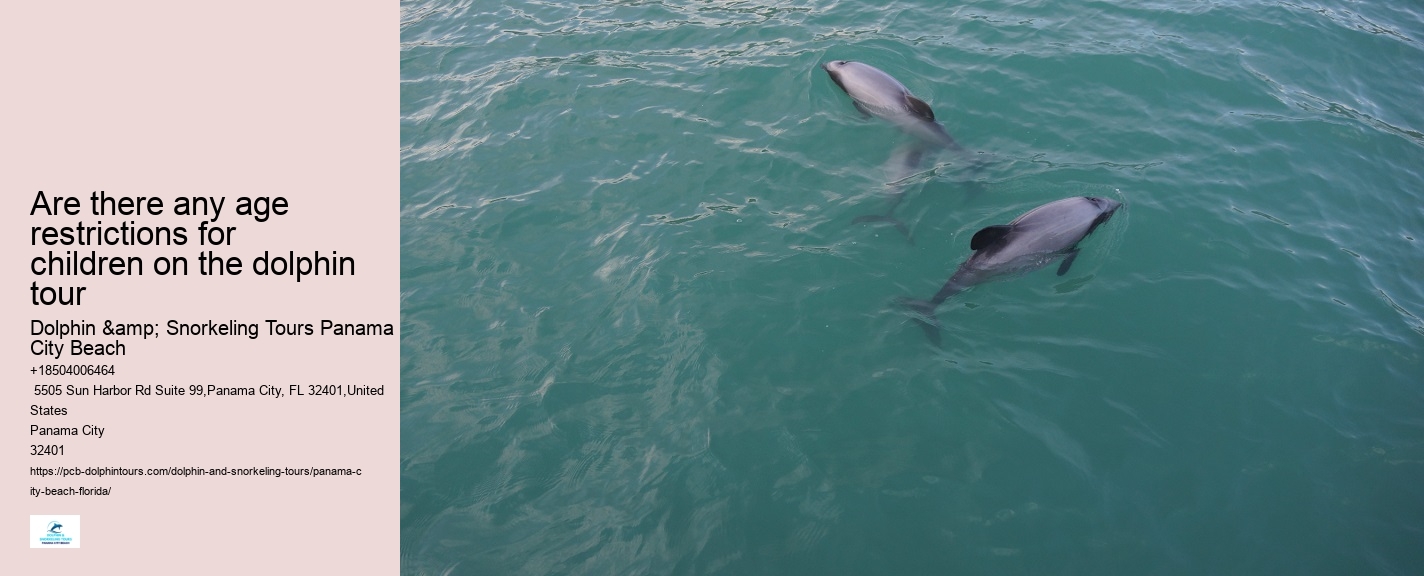 Panama City Beach dolphin discovery tours