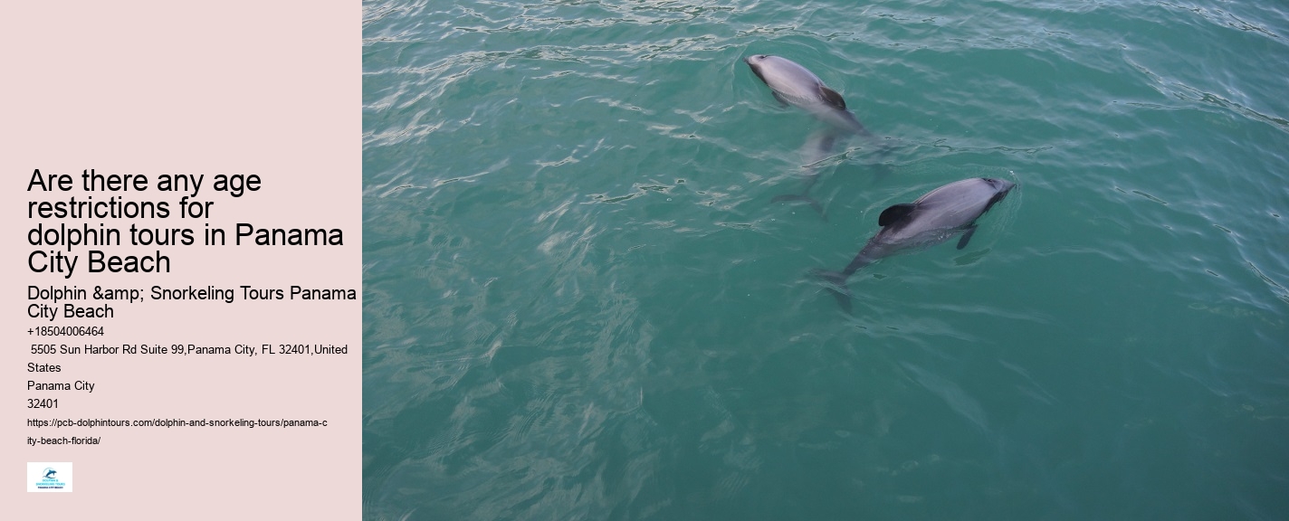 Jet Ski Dolphin Tours Panama City Beach Florida