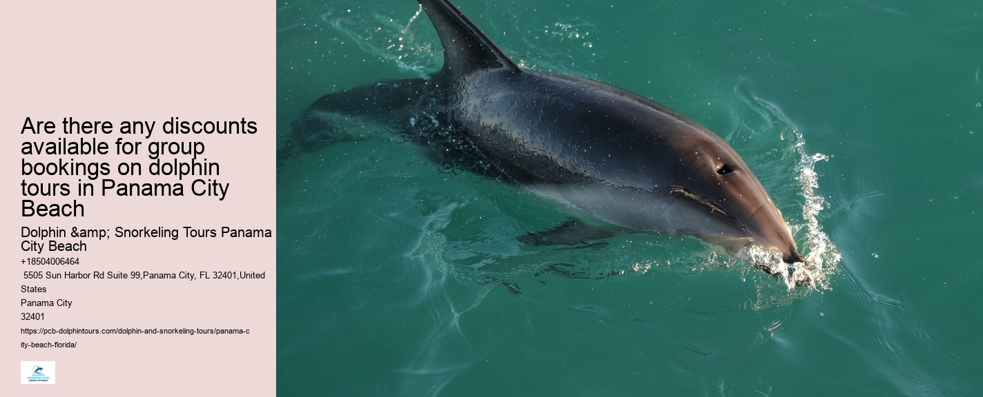 Are there any restrictions on interactions with dolphins during the tours in Panama City Beach