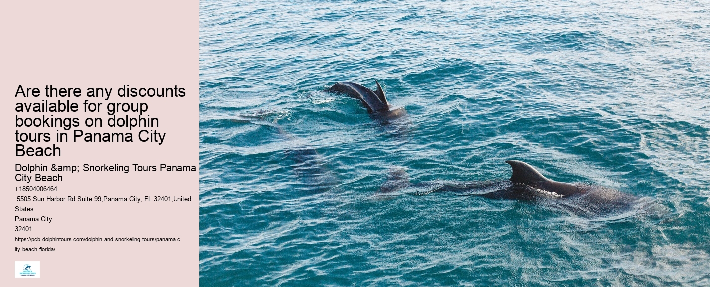 Dolphin Sightseeing