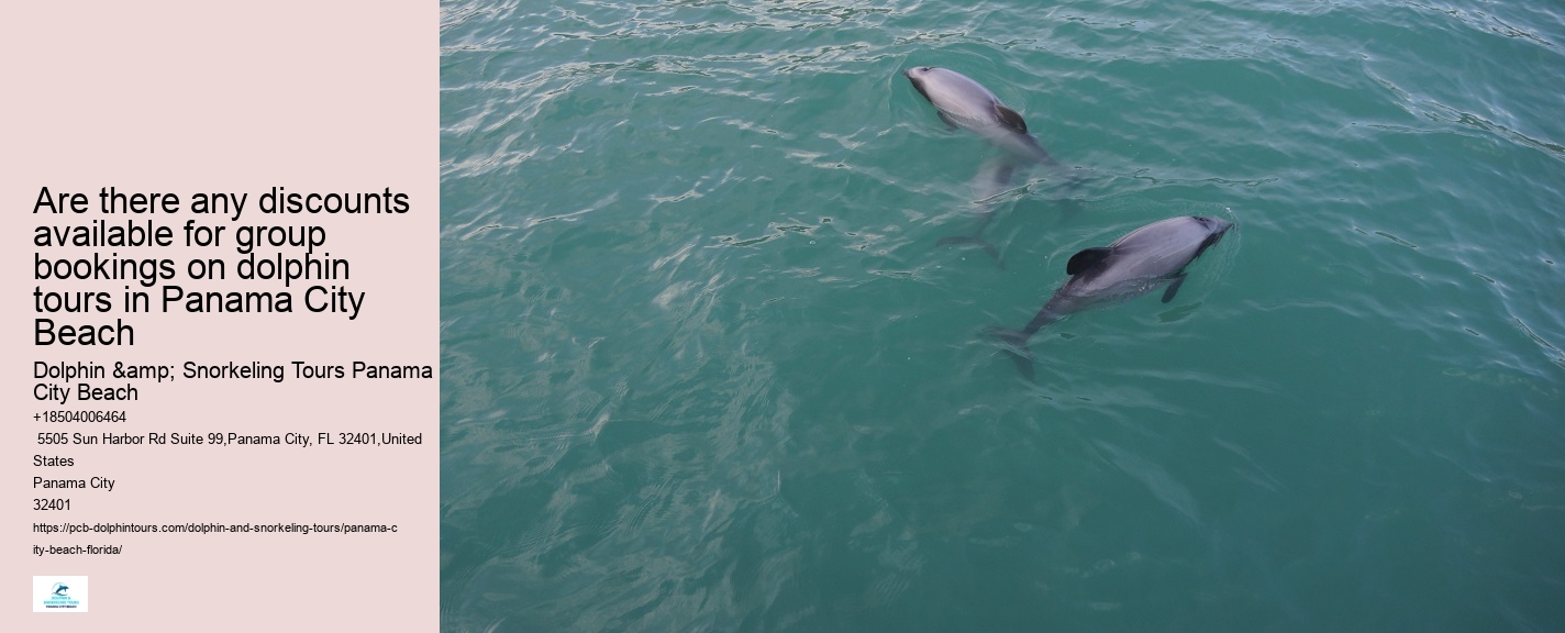 Sea Screamer Dolphin Tours Panama City Beach