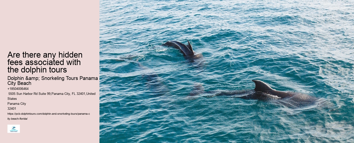 City Beach Dolphin