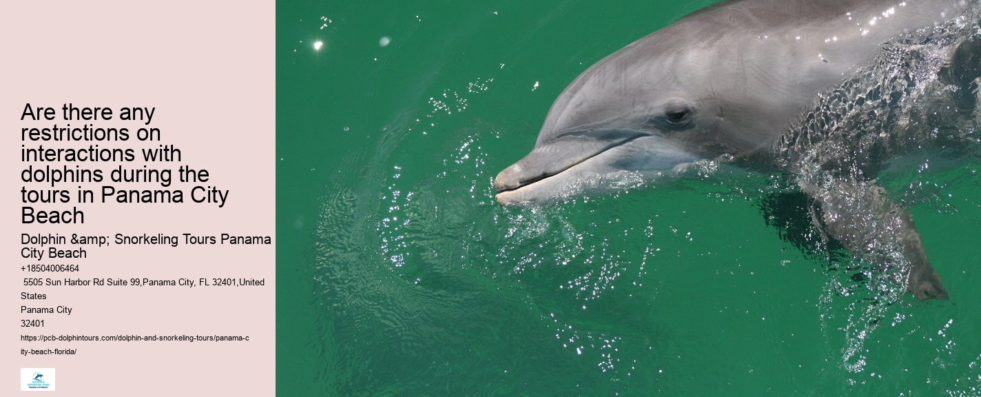 Sunset Dolphin Cruise Panama City Beach