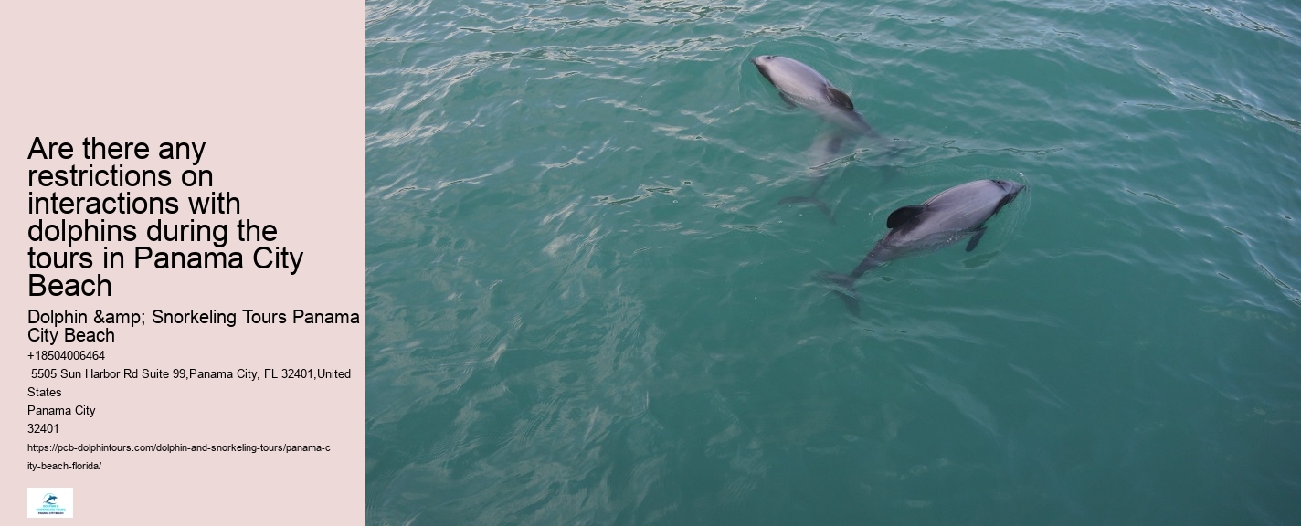 PCB Dolphin Discovery Cruises