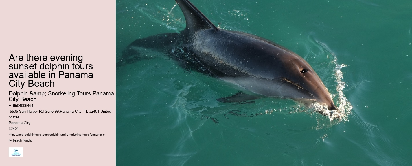 PCB Dolphin Encounters
