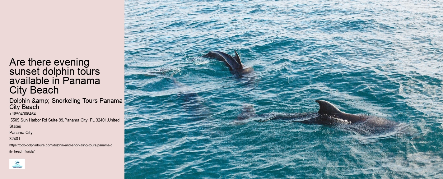 Dolphin Tours Panama City Beach Florida