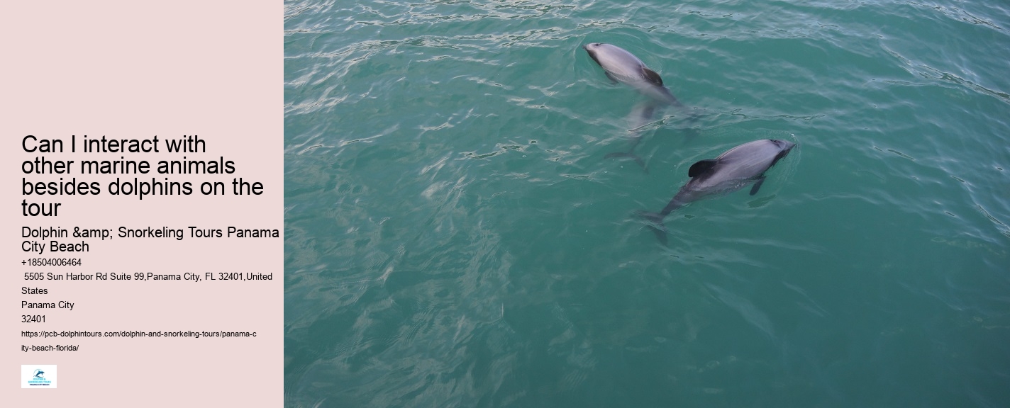 Dolphin Excursions at PCB