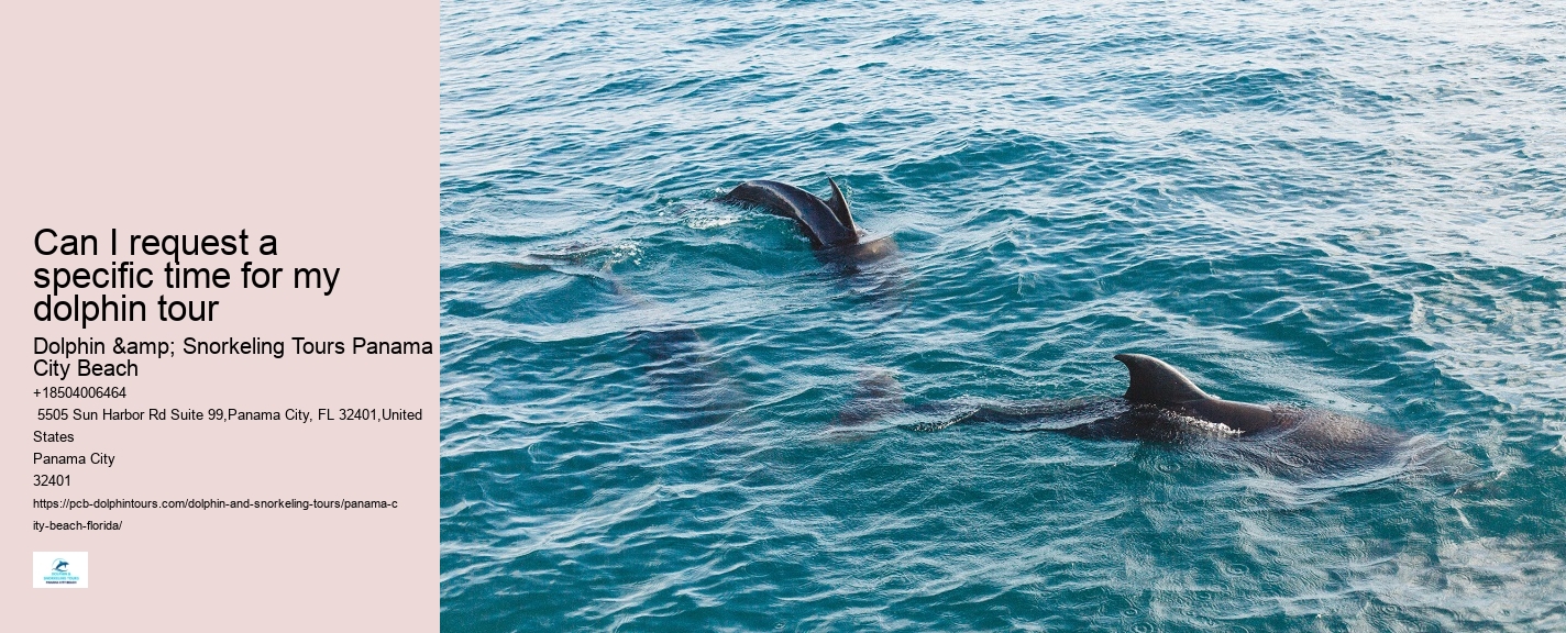 Panama City Beach Dolphin Adventure Trips