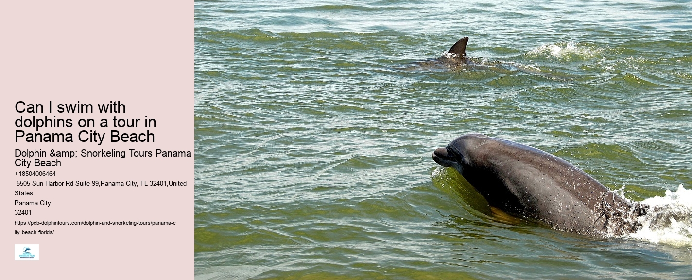 Top 20 Panama City Beach Dolphin Cruises & Tours 2024