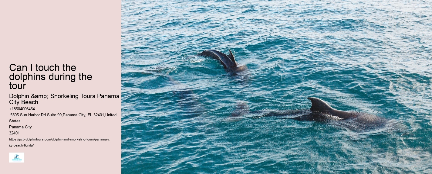 What is the duration of the dolphin watching portion of the tour