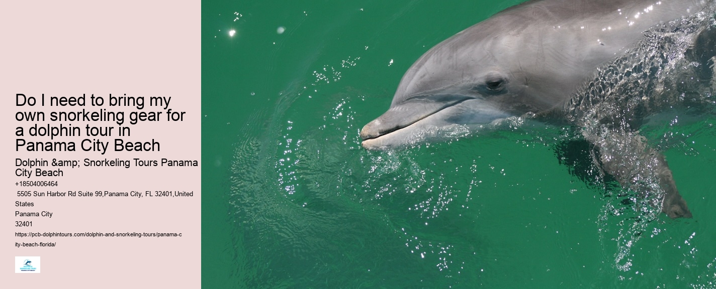 Can I bring my dog on a dolphin tour in Panama City Beach