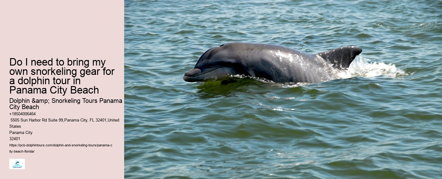 Panama City Beach Dolphin Tours Prices