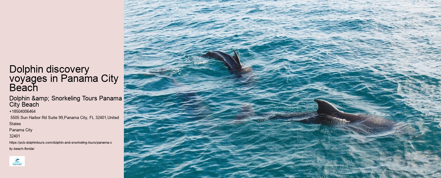 Dolphin Tours And Shell Island Panama City Beach