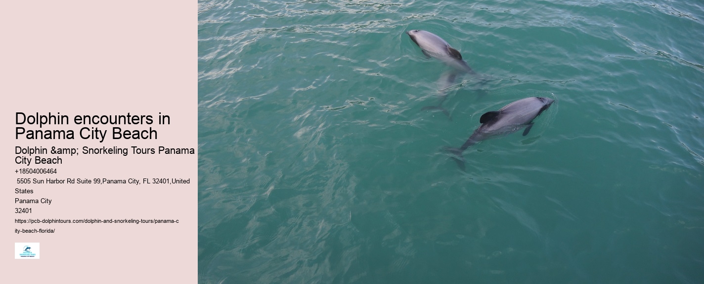 Top 20 Panama City Beach Dolphin Cruises & Tours 2024