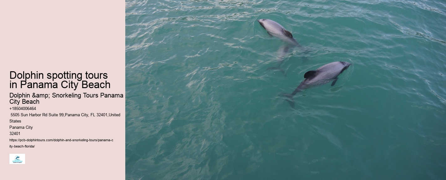 Cheap Dolphin Tours In Panama City Beach