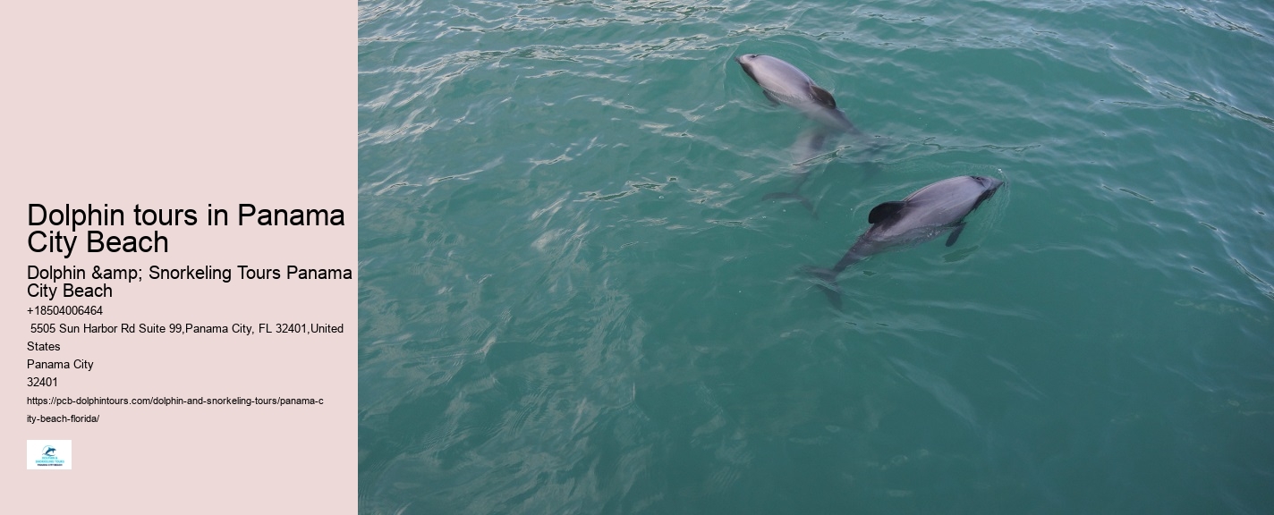 Are there any restrictions on interactions with dolphins during the tours in Panama City Beach