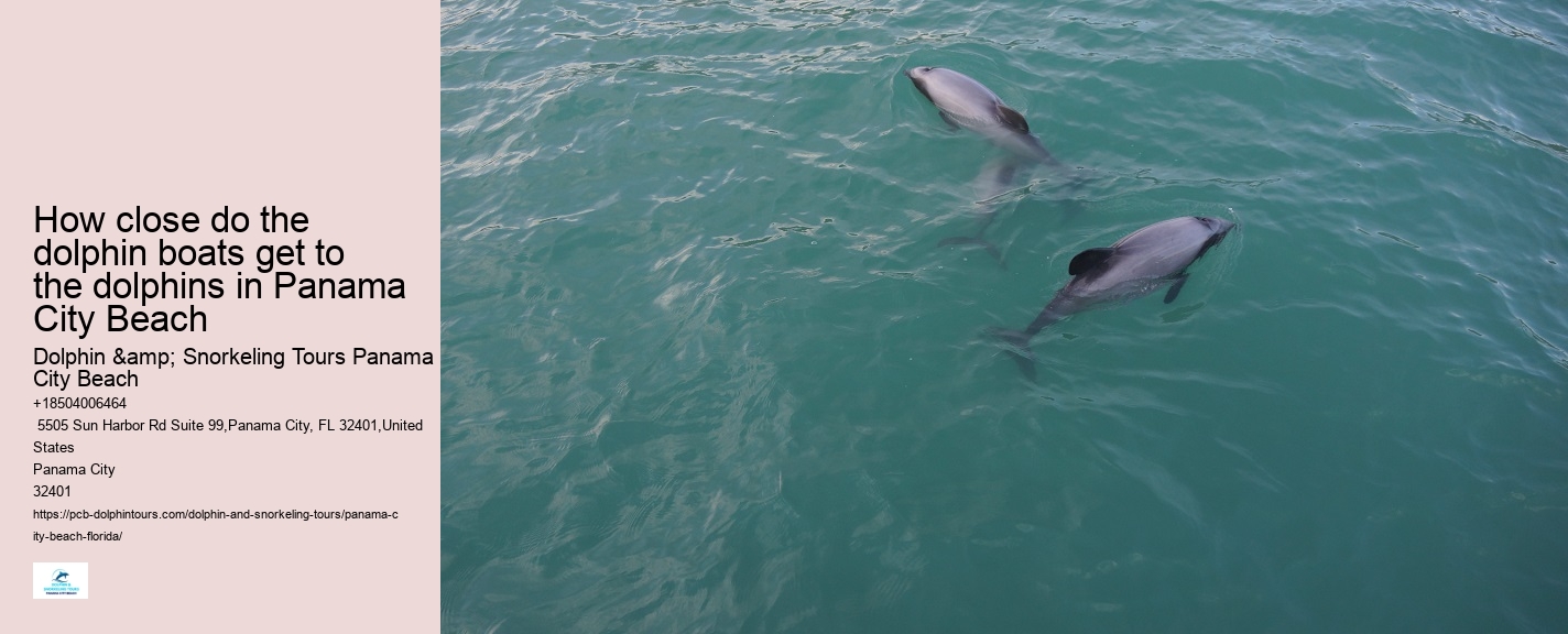 Panama City Beach Speed Boat Tour