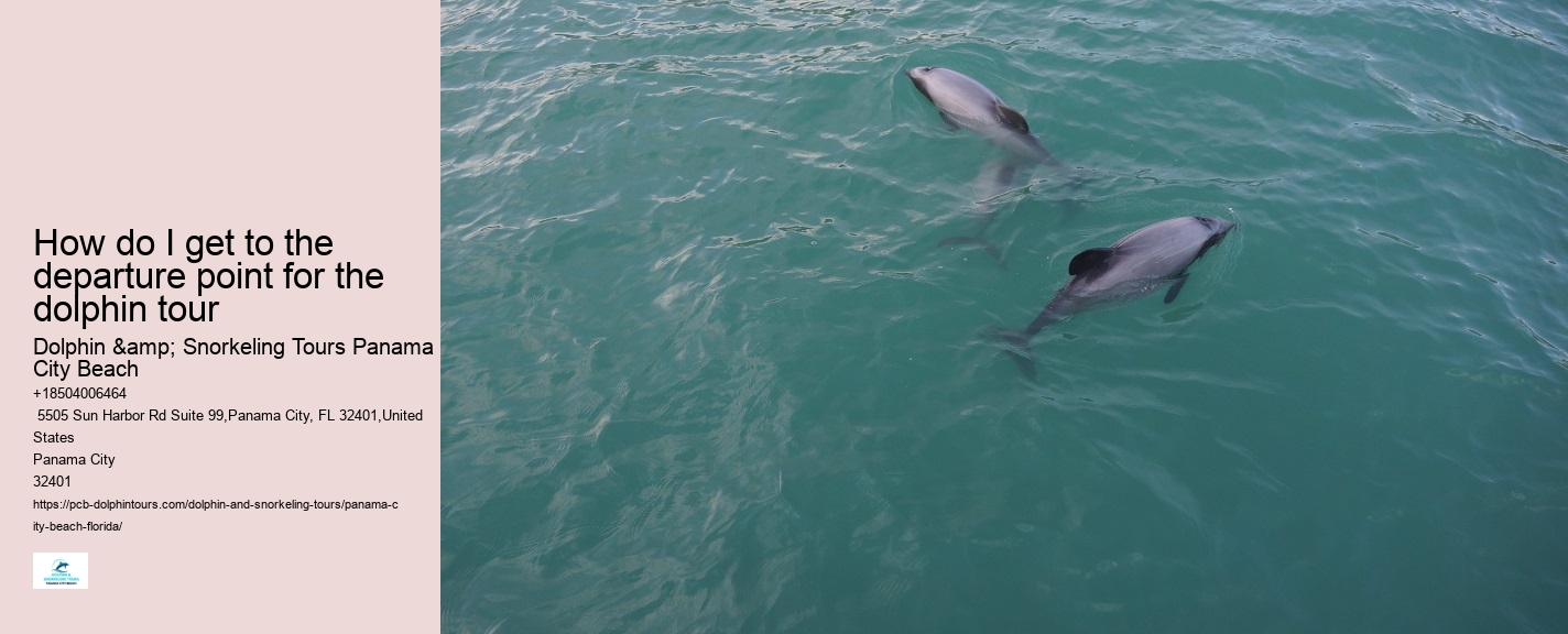 Panama City Beach Florida Boat Tours