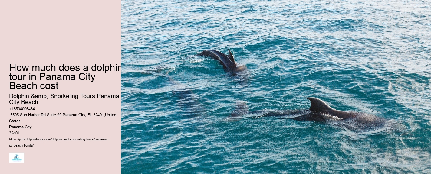 Dolphin And Snorkeling Tours In Panama City Beach