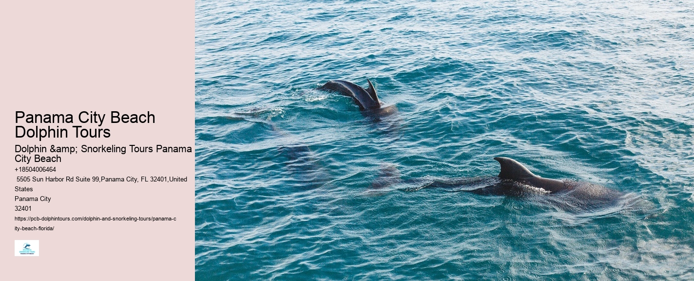 Panama City Dolphin
