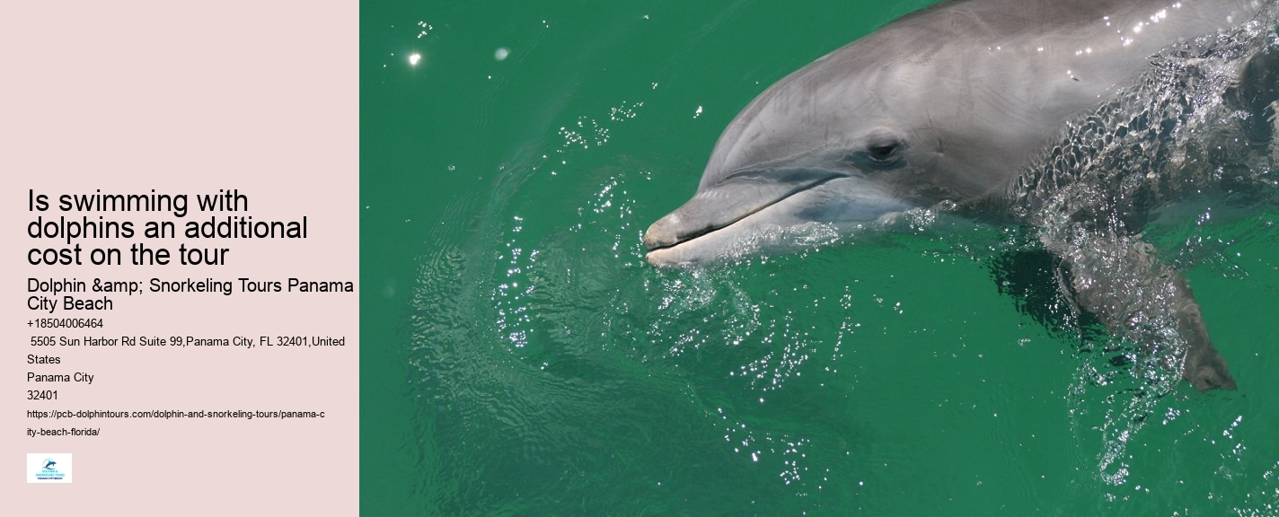 Dolphins
