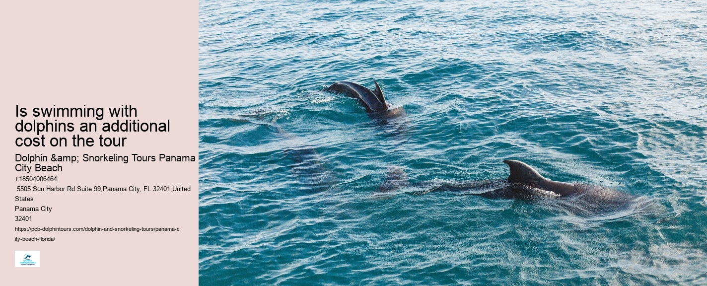 Dolphin & Whale Watching In Panama City Beach