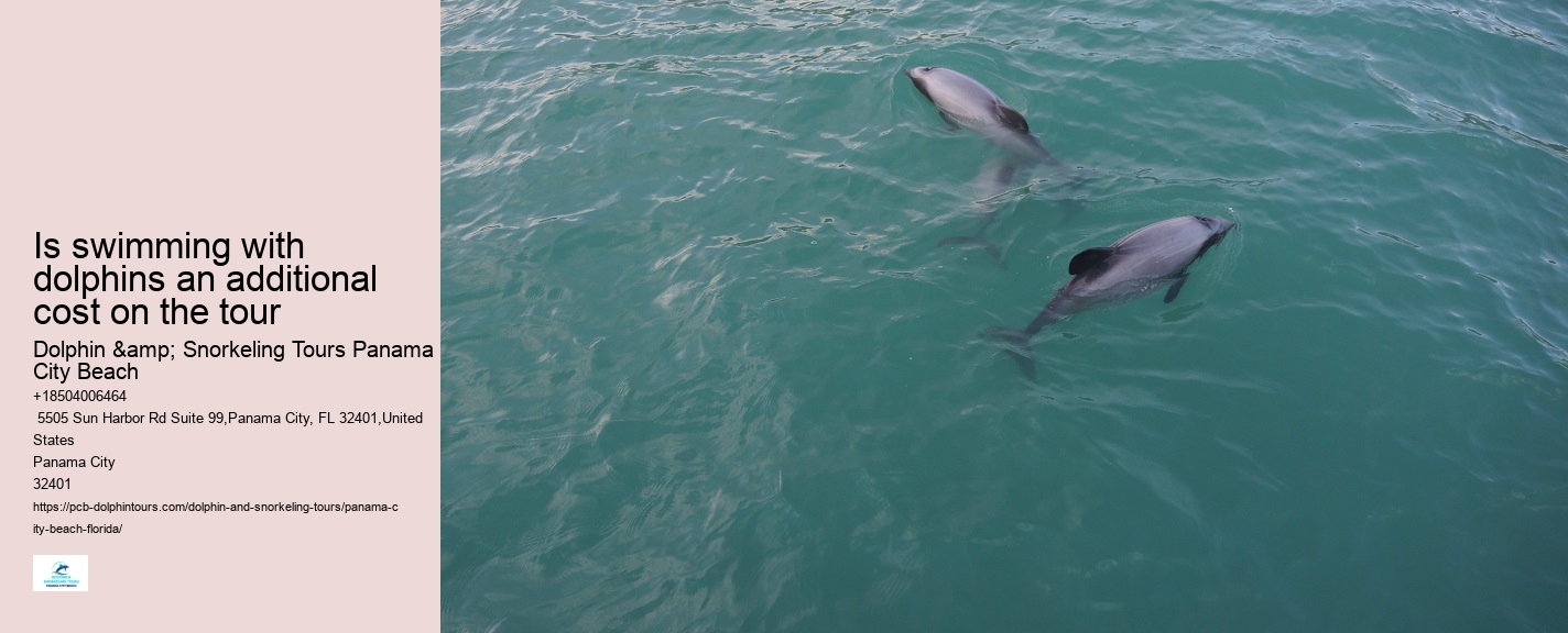 Dolphin Encounter