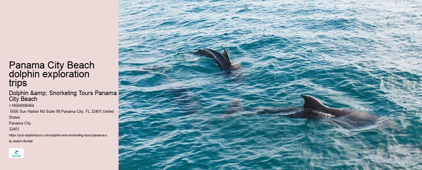 Snorkeling spots