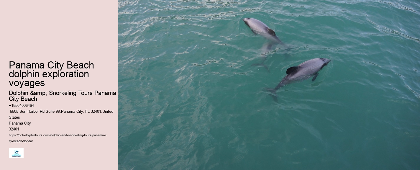 Panama City Beach Sunset Dolphin Cruise