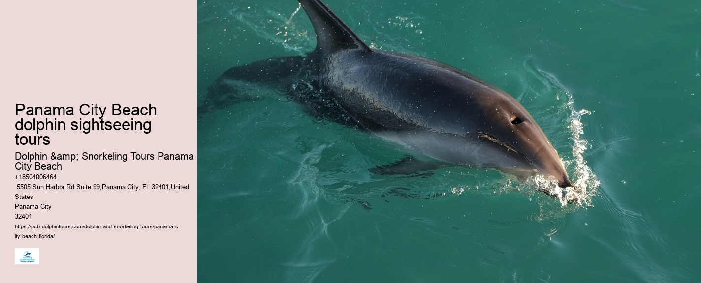 Panama City Beach Boat Tours