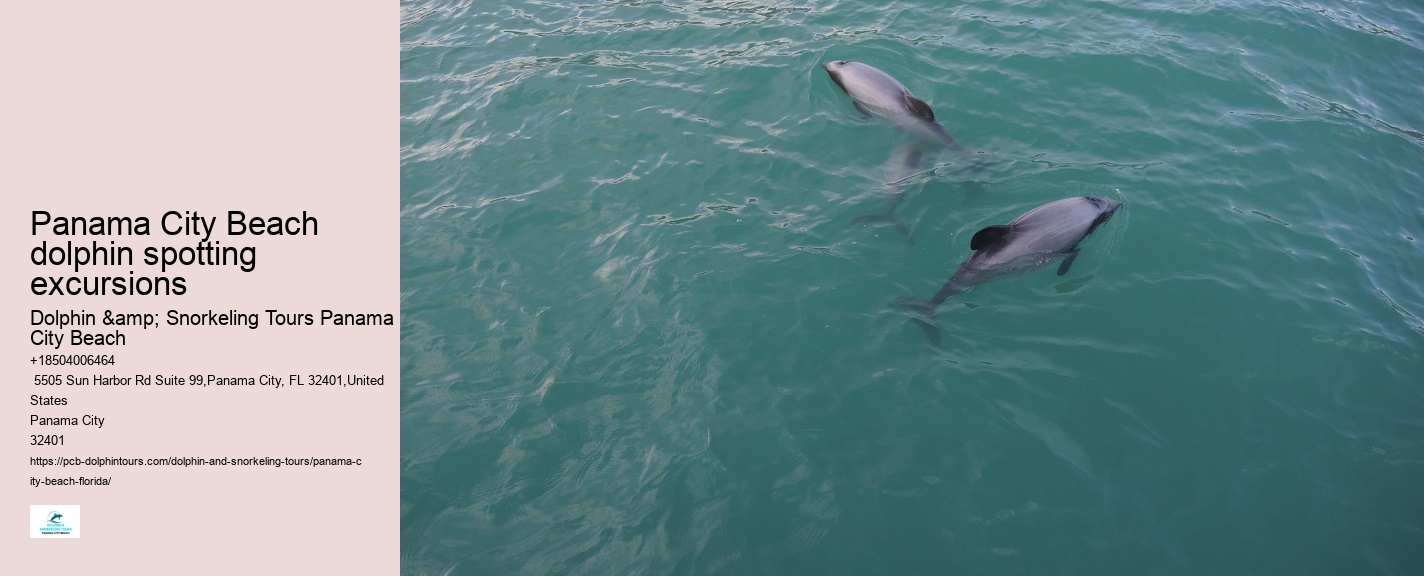 Panama City Beach Shell Island Dolphin Tour