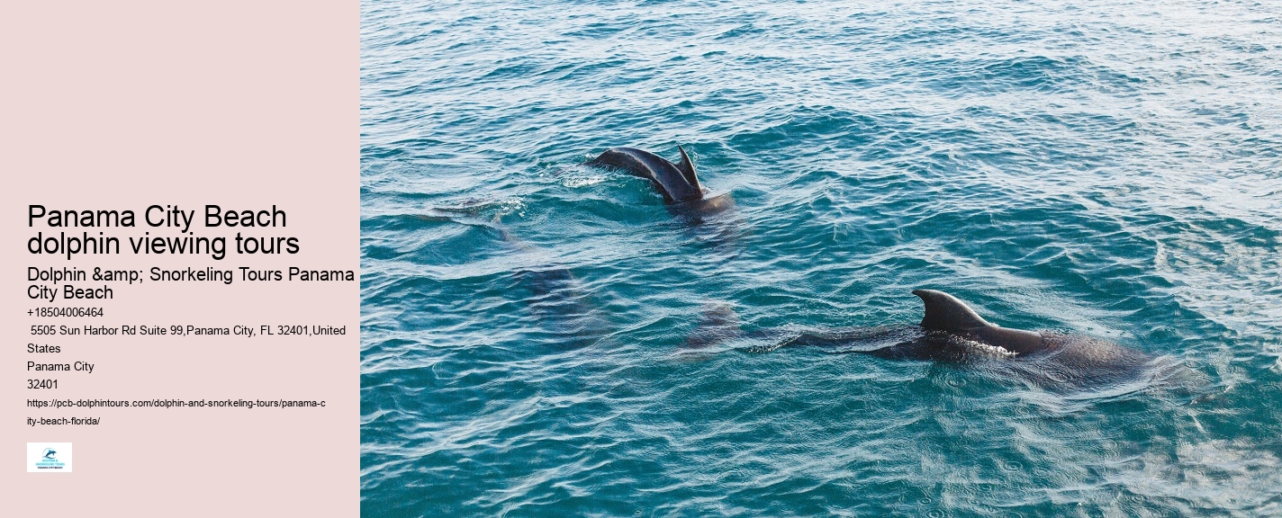 Are there evening or night dolphin tours available in Panama City Beach