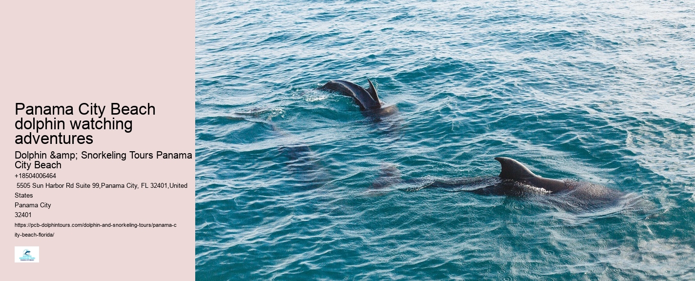 Panama City Beach Florida Dolphin Tours