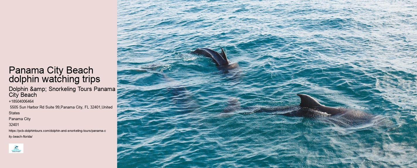 What To Know Before Swimming With Dolphins