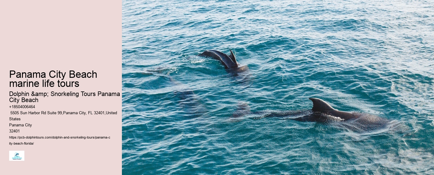 Dolphin Boat Tours PCB