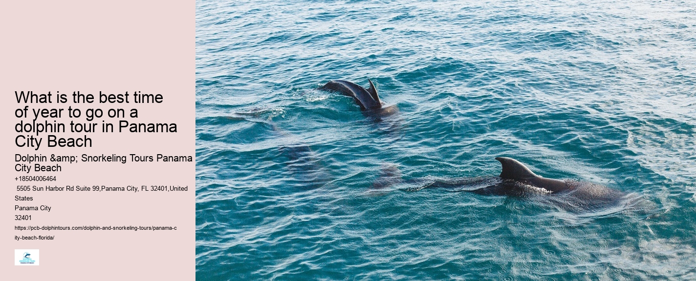 Panama City Beach Dolphin Adventure Cruises