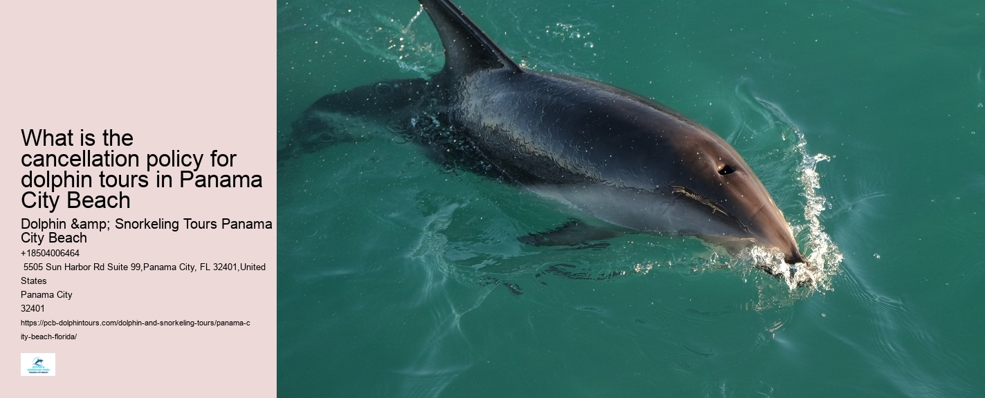 Panama City Dolphin