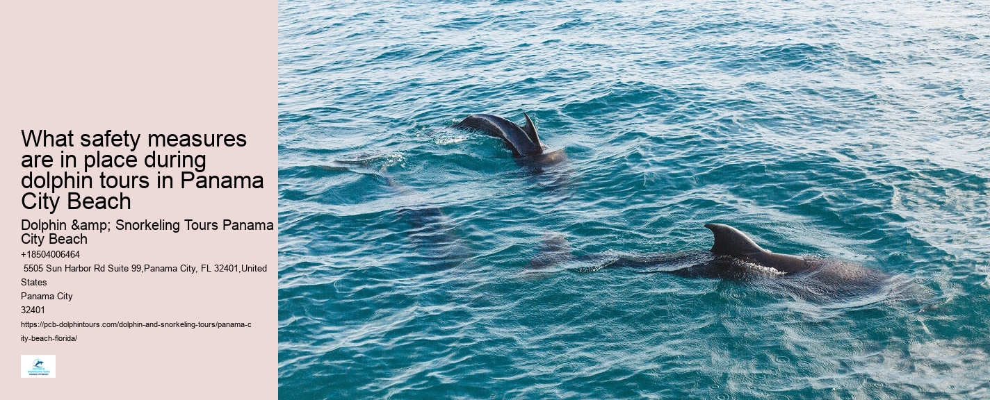 Dolphin And Snorkeling Tours Panama City Beach Fl
