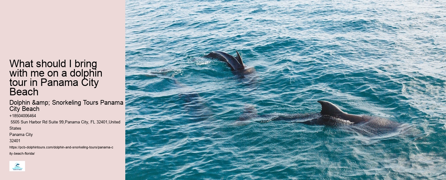 Can I book a private dolphin tour in Panama City Beach